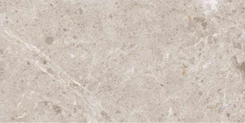 Artic Beige Pulido 59x119