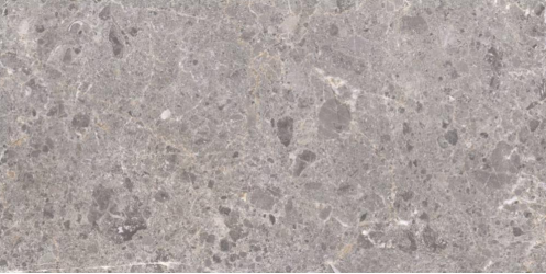 Artic Gris Natural 60x120