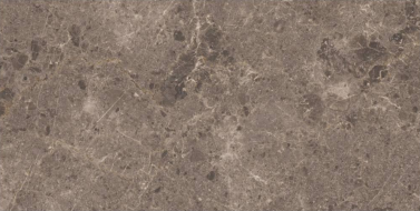 Artic Moka Pulido 59x119