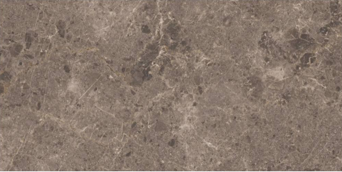 Artic Moka Pulido 59x119
