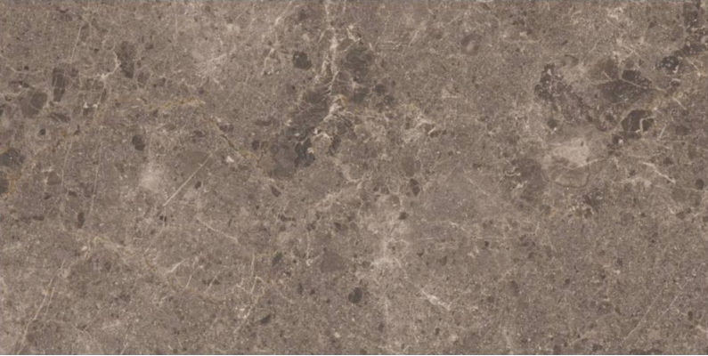 Artic Moka Pulido 59x119