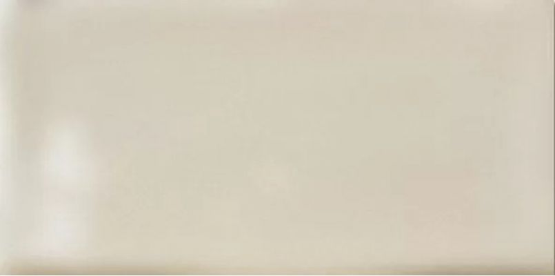 Artisan Hueso Mate 10*20