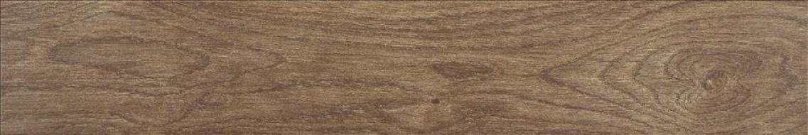 Asbury Forest 15x90