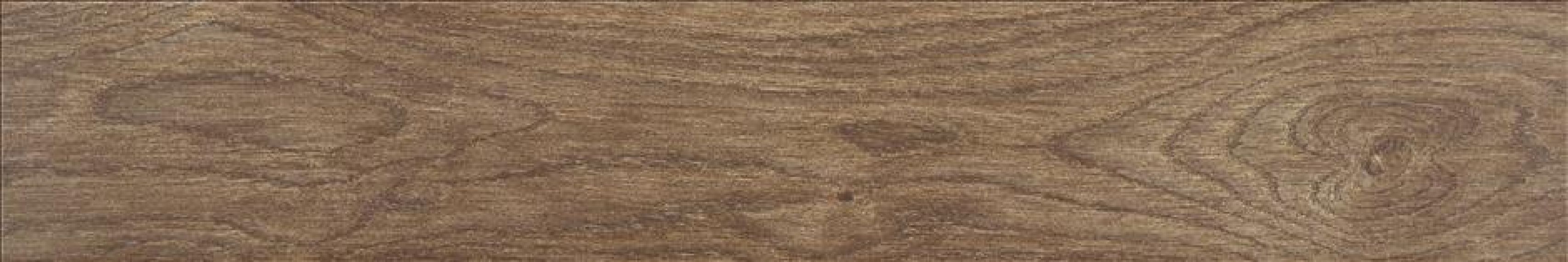 Asbury Forest 15x90