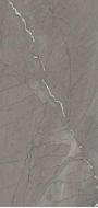 Asterix Grey Glossy 60*120