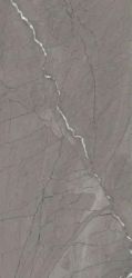Asterix Grey Glossy 60*120