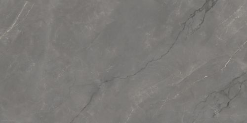 Astonia Grey Glossy Golden Line 60x120