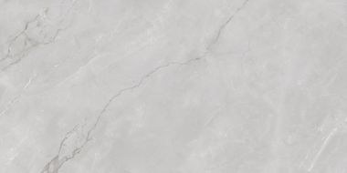 Astonia Silver Glossy Silver Line 60x120