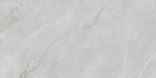 Astonia Silver Glossy Silver Line 60x120