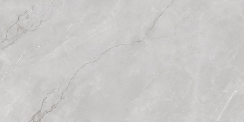 Astonia Silver Glossy Silver Line 60x120
