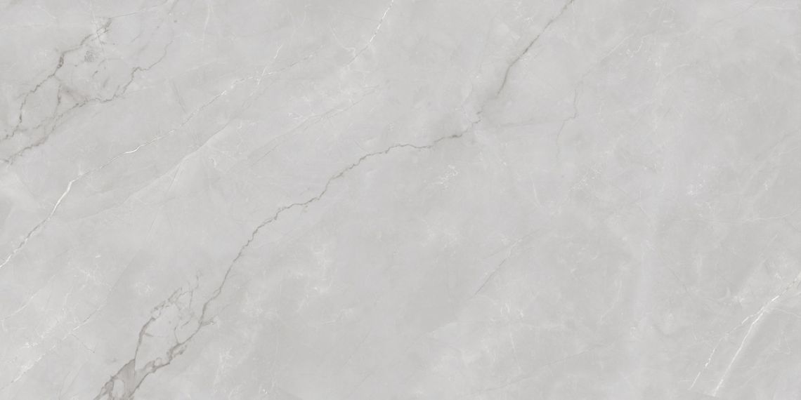 Astonia Silver Glossy Silver Line 60x120