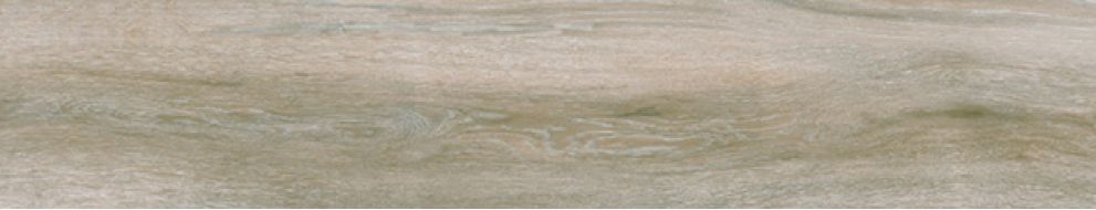 Atelier Beige 23.3x120