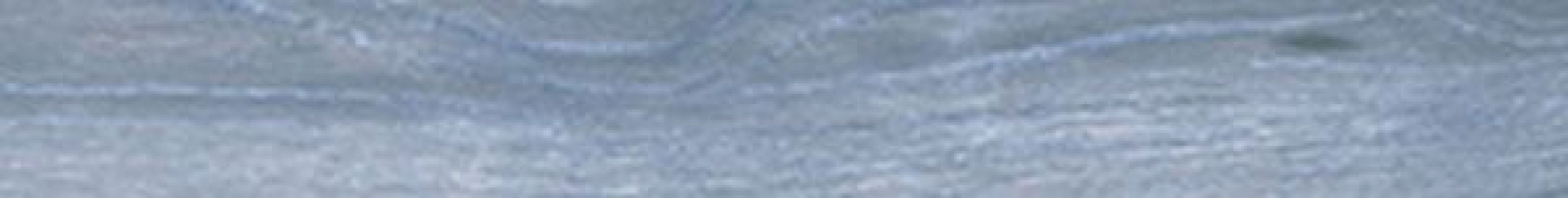 Atelier Rodapie Gris 8x60