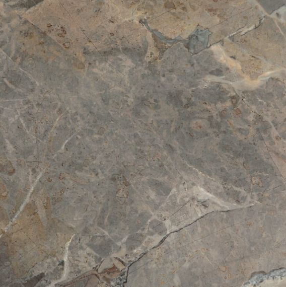 Atenea Noisette Rec N 60х60