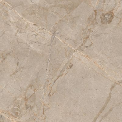 Athens Grey PGVT 120x120