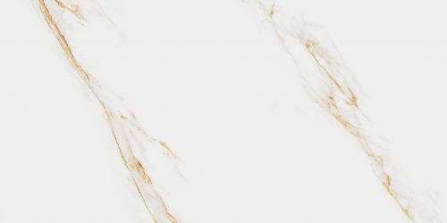 Aureus 60x120