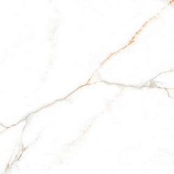 Austrain Natural Glossy 600x600