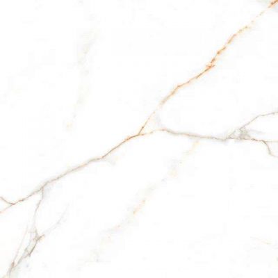 Austrain Natural Glossy 600x600
