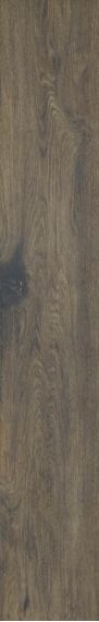 Aveiro Brown 19,4х120