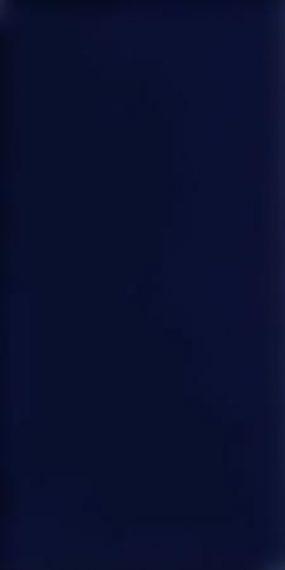 Azul Noche 14x28 g.130