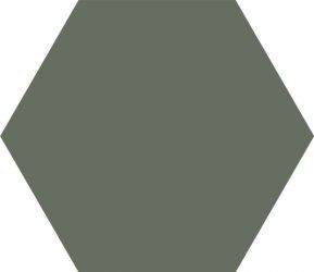 BASIC HEX 25 Moss 25x22