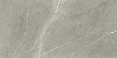 BB612NTT9102P Bright And Shiny 60x120