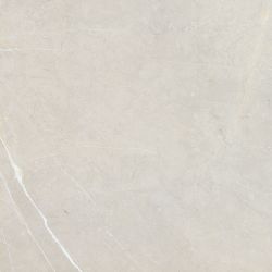 BB6NTT9101P Bright And Shiny 60x60