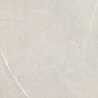 BB6NTT9101P Bright And Shiny 60x60