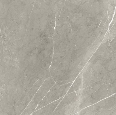 BB6NTT9102P Bright And Shiny 60x60