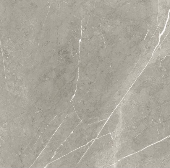 BB6NTT9102P Bright And Shiny 60x60