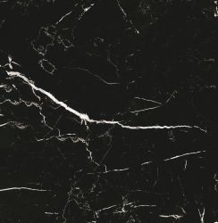 BB6NTT9103P Night Elf 60x60
