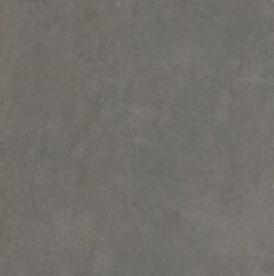 BIEN0015 Arcides Grey Rec Gp 600x600x8,5