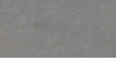 BIEN0033 Arcides Grey Rec 600x1200x9
