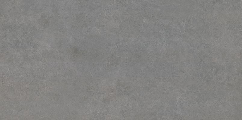 BIEN0033 Arcides Grey Rec 600x1200x9