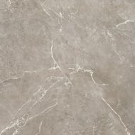 BIEN0038 Imperial Glossy Grey Rec 600x600x8,5