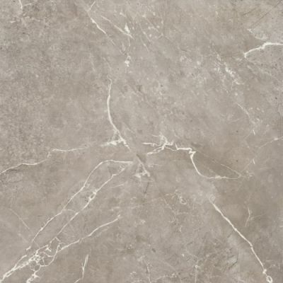 BIEN0038 Imperial Glossy Grey Rec 600x600x8,5