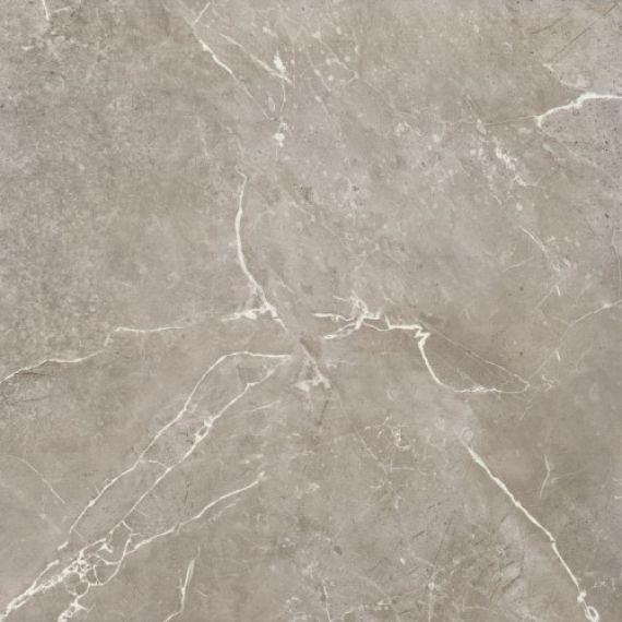 BIEN0038 Imperial Glossy Grey Rec 600x600x8,5