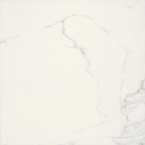 BIEN0059 Adonis Matte White Rec 600x600x8,5