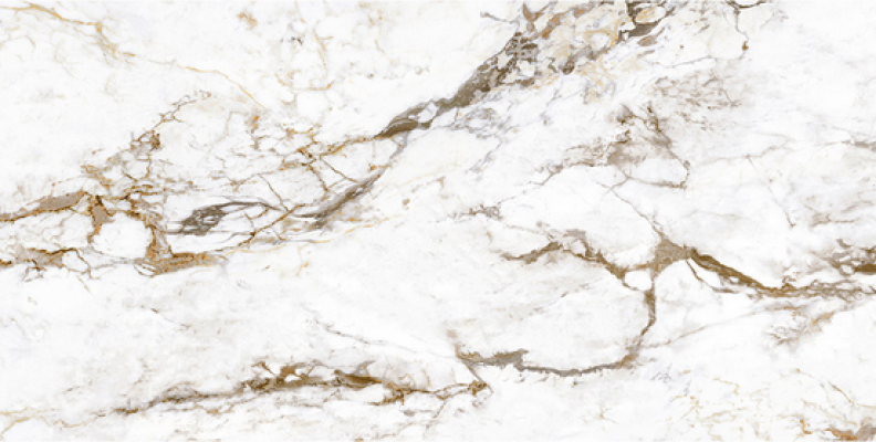 BRECCIA TORTONA LAP RT 60x120