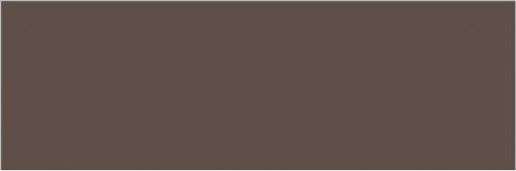 BROWN Polished 240x80
