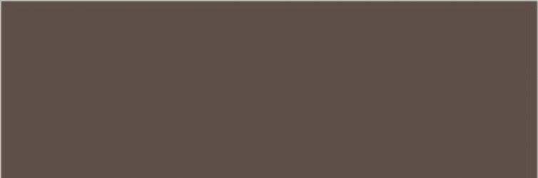 BROWN Polished 240x80