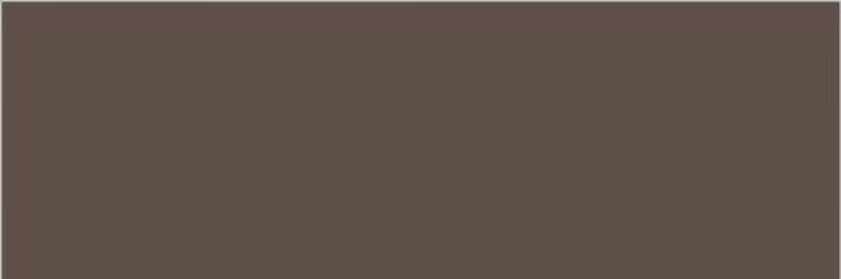 BROWN Polished 240x80