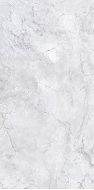 Bahia Silver Polished Mix 160x320