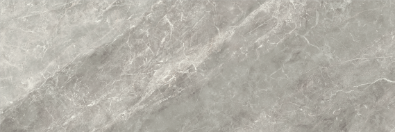 Balmoral Grey Rectificado 40х120
