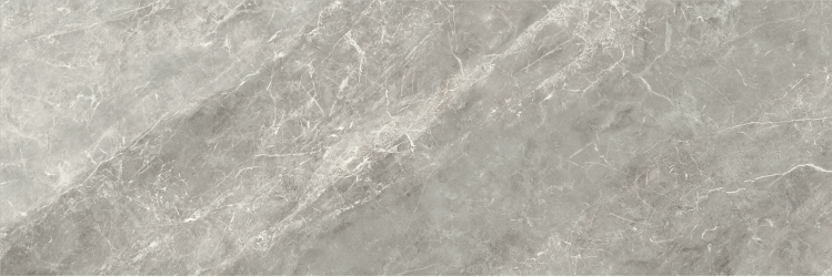 Balmoral Grey Rectificado 40х120