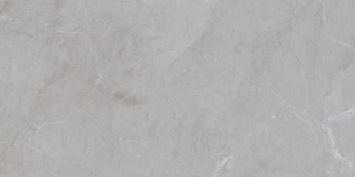 Barcelona Light Grey Matt 5мм 60x120