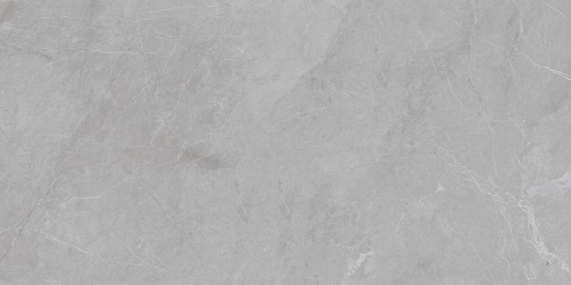 Barcelona Light Grey Matt 5мм 60x120
