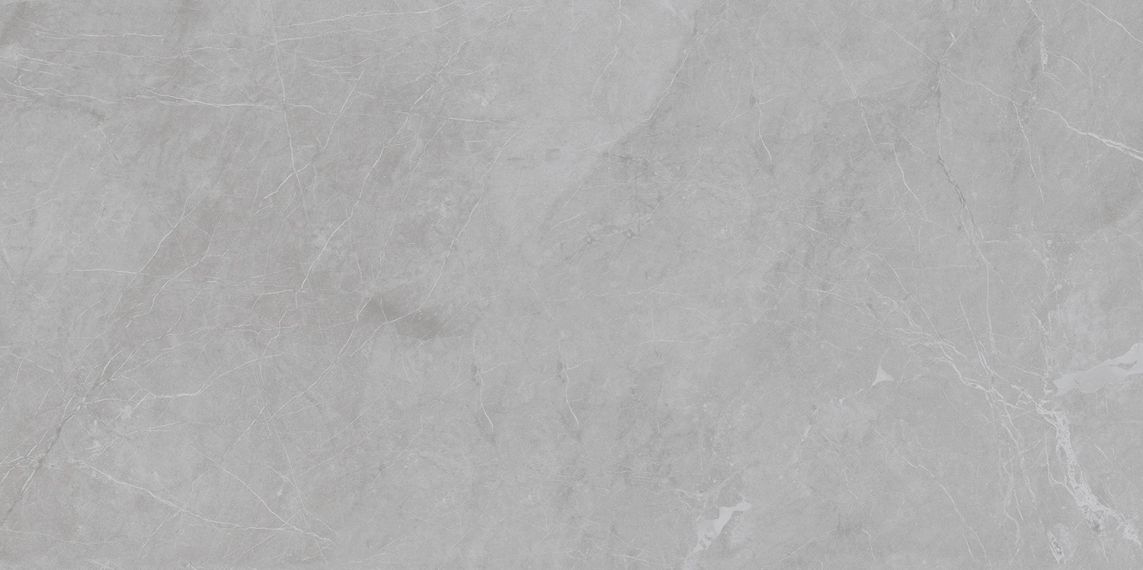 Barcelona Light Grey Matt 5мм 60x120