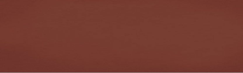 Barnet rodapie Terra 8x31,6
