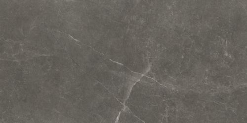 Bayona Grey Natural 60x120 